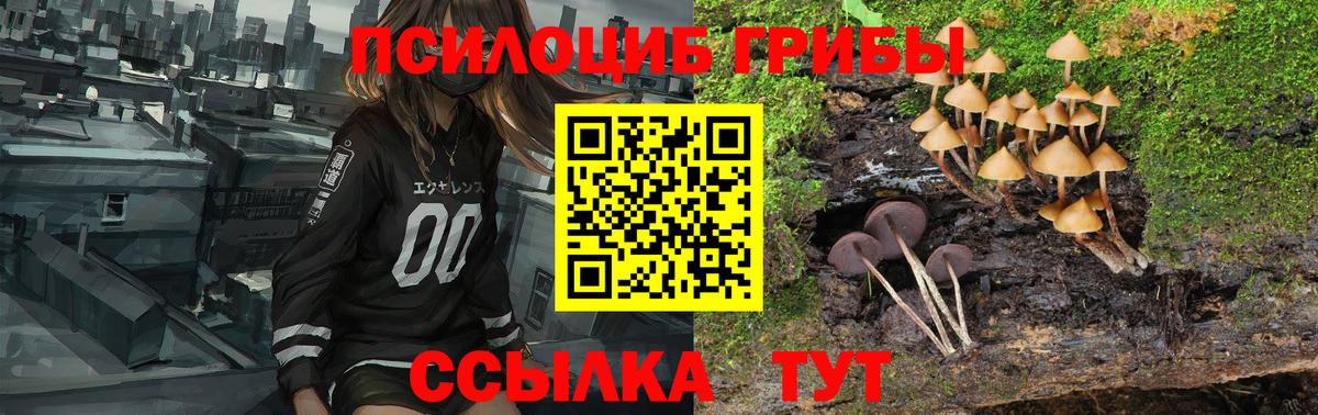 Галлюциногенные грибы мухоморы Юрга
