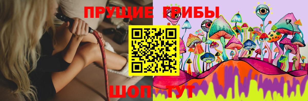 Галлюциногенные грибы мицелий  Вход с VPN  Юрга  Псилоцибиновые грибы мицелий 